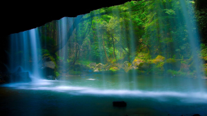 Wallpaper Free Desktop Wallpaper HD 1920 x 1080 (1)